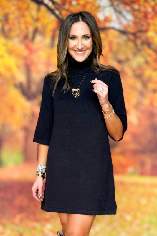 SSYS Evie Long Sleeve Turtleneck Mini Sweater Dress In Black