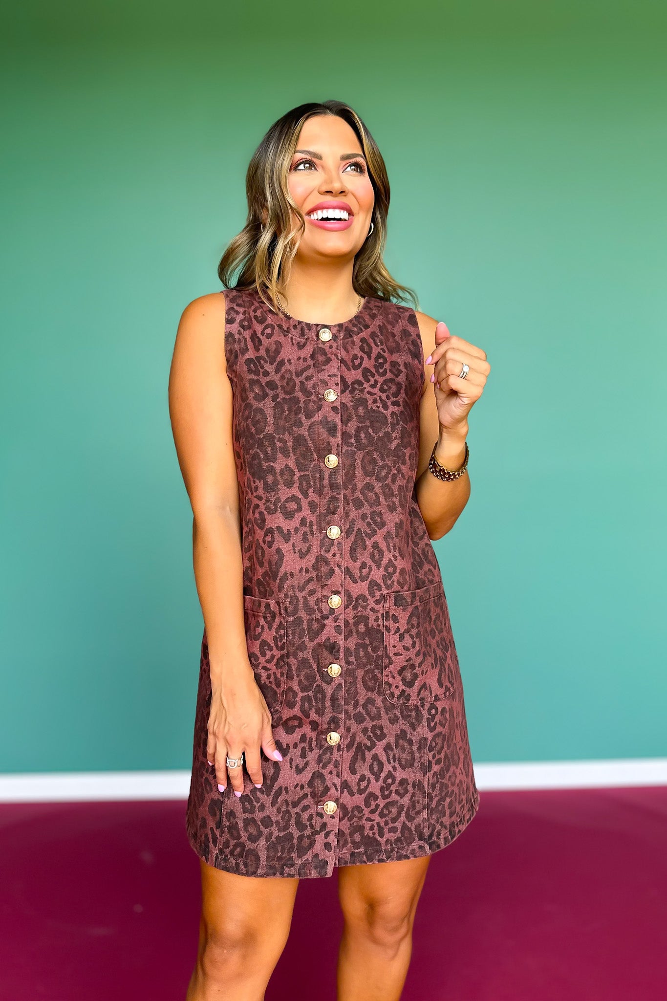 Brown Animal Print Gold Button Down Dress