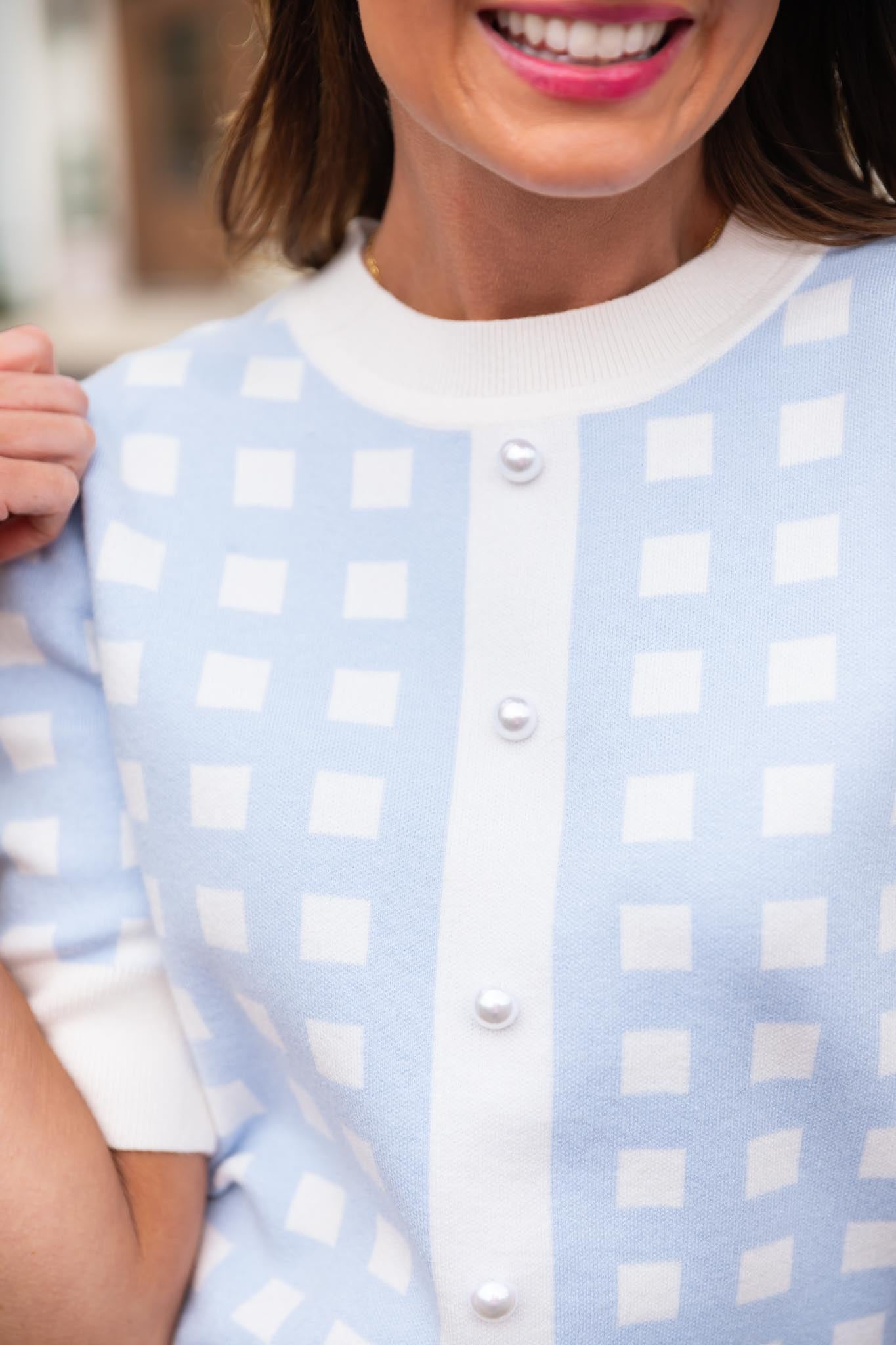 SSYS Grier Gingham Sweater In Light Blue