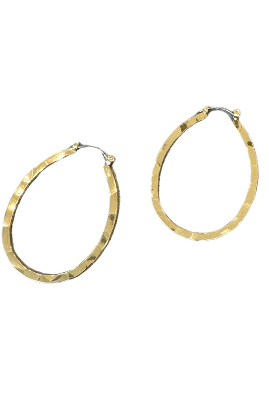 Gold Oval Hoop Earrings
