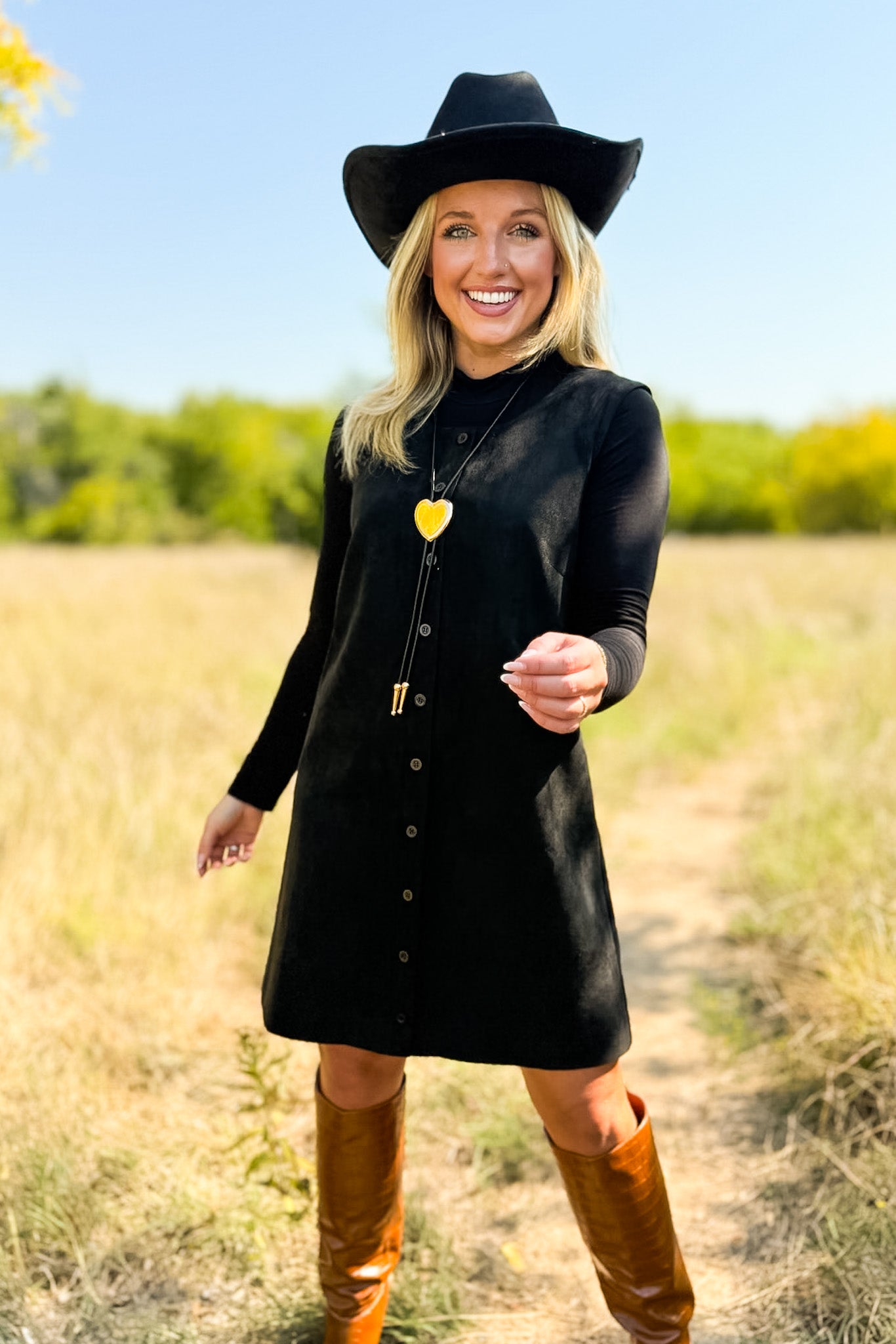 SSYS Marlene Button Down Suede Dress In Black