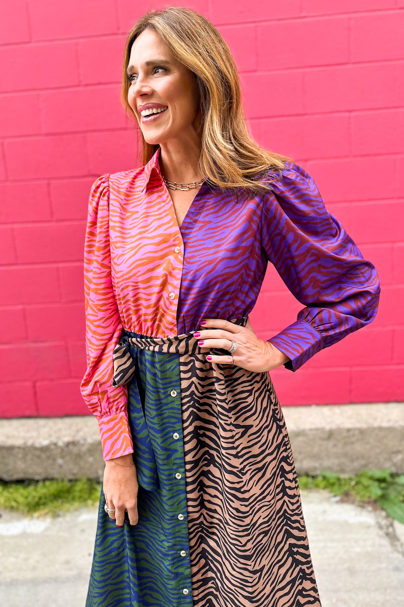 SSYS Whitney Mix Print Dress In Animal Stripes