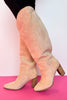 Beige Suede Tall Pointed Toe Boots