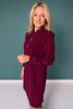 SSYS Zoey Long Sleeve Ruffle Collar Zip Air Dress In Dark Maroon