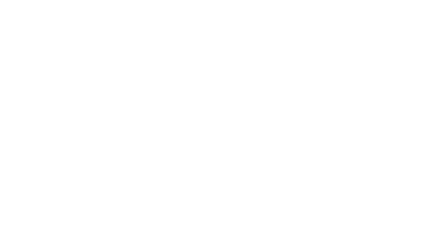 SSYS the label
